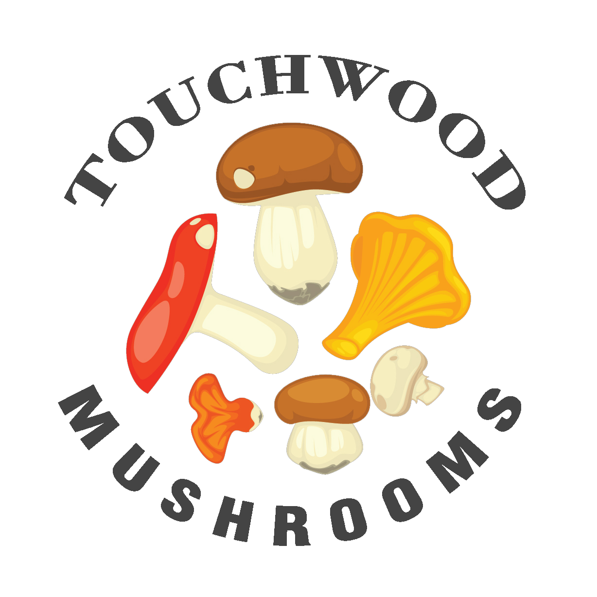 Touchwood Medicinal Mushrooms Logo